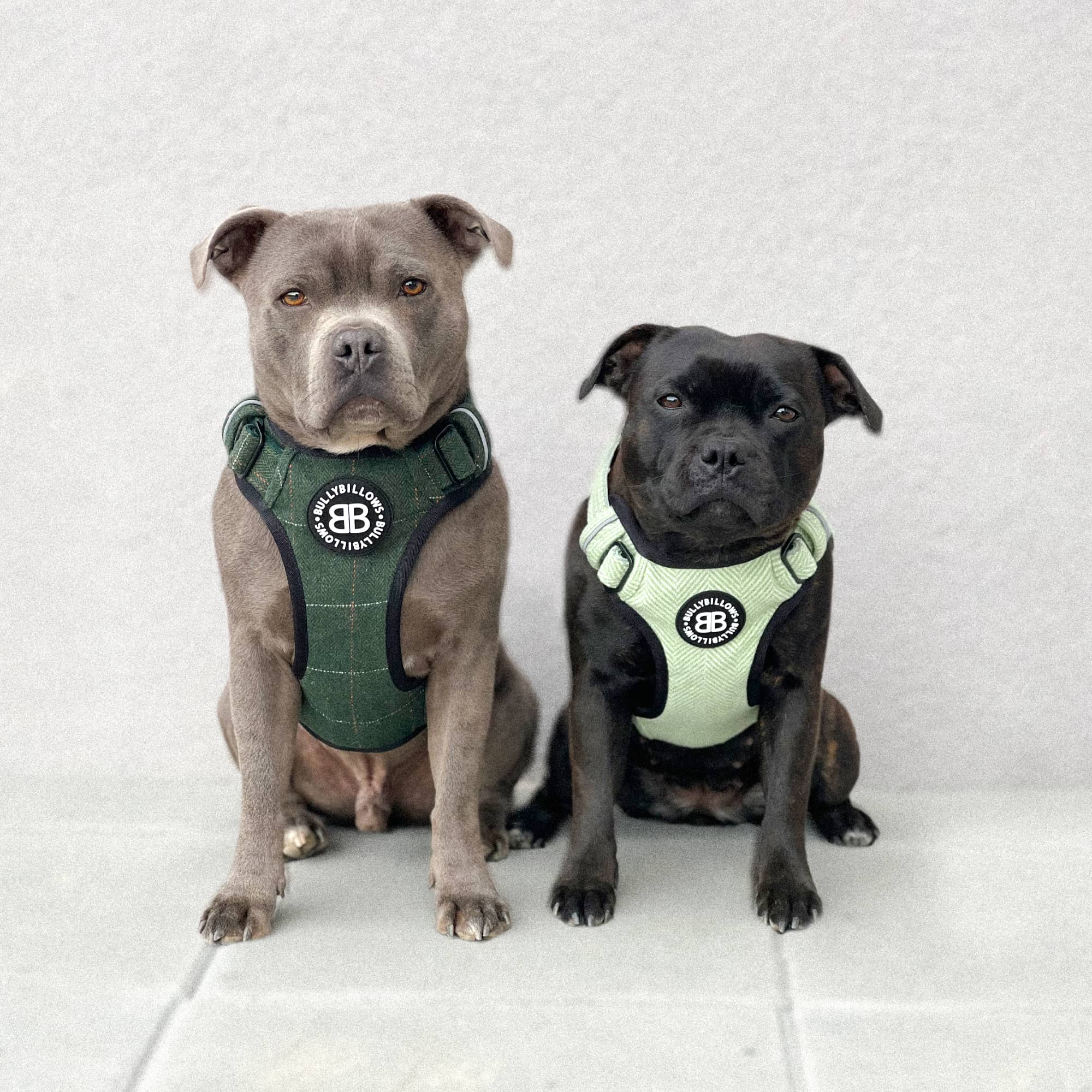 Comfort Premium Harness | Non Restrictive - Metal Grey - Image 10