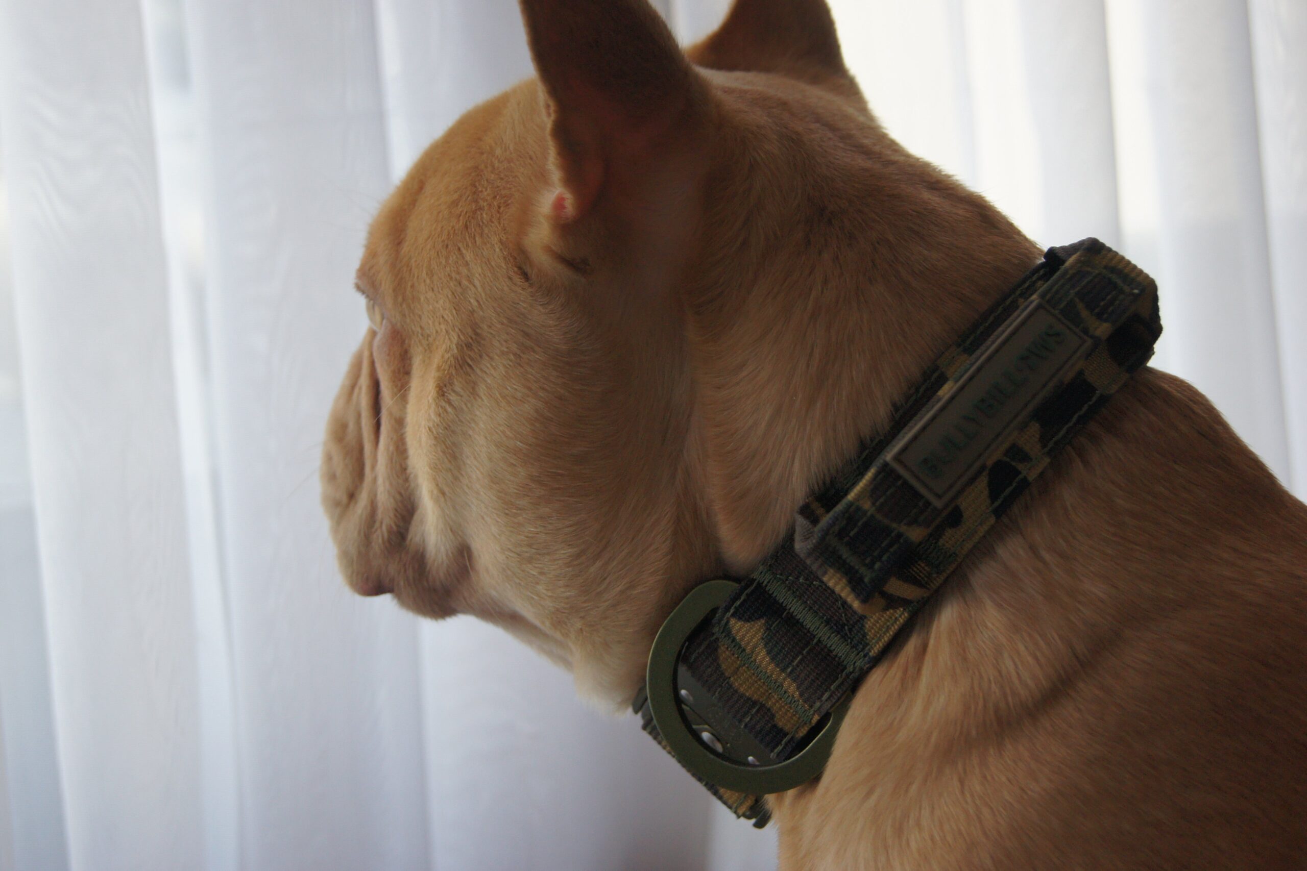 5cm Lighter Combat® Collar | With Handle & Secure Clip - Pink Camouflage - Image 6
