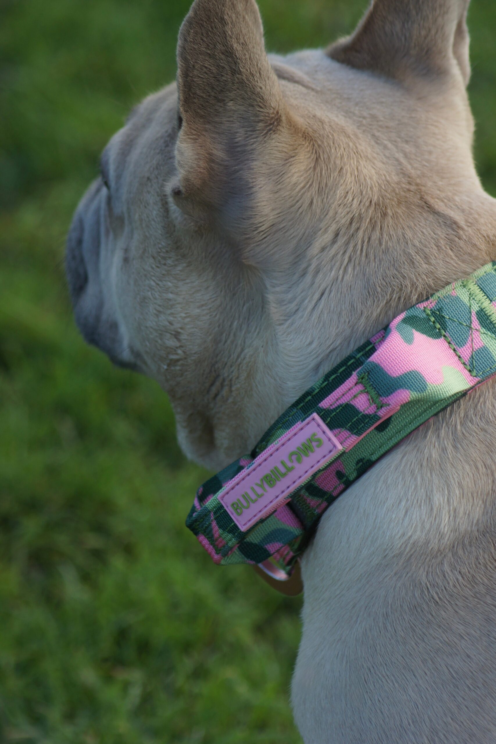 5cm Lighter Combat® Collar | With Handle & Secure Clip - Green Camouflage - Image 7