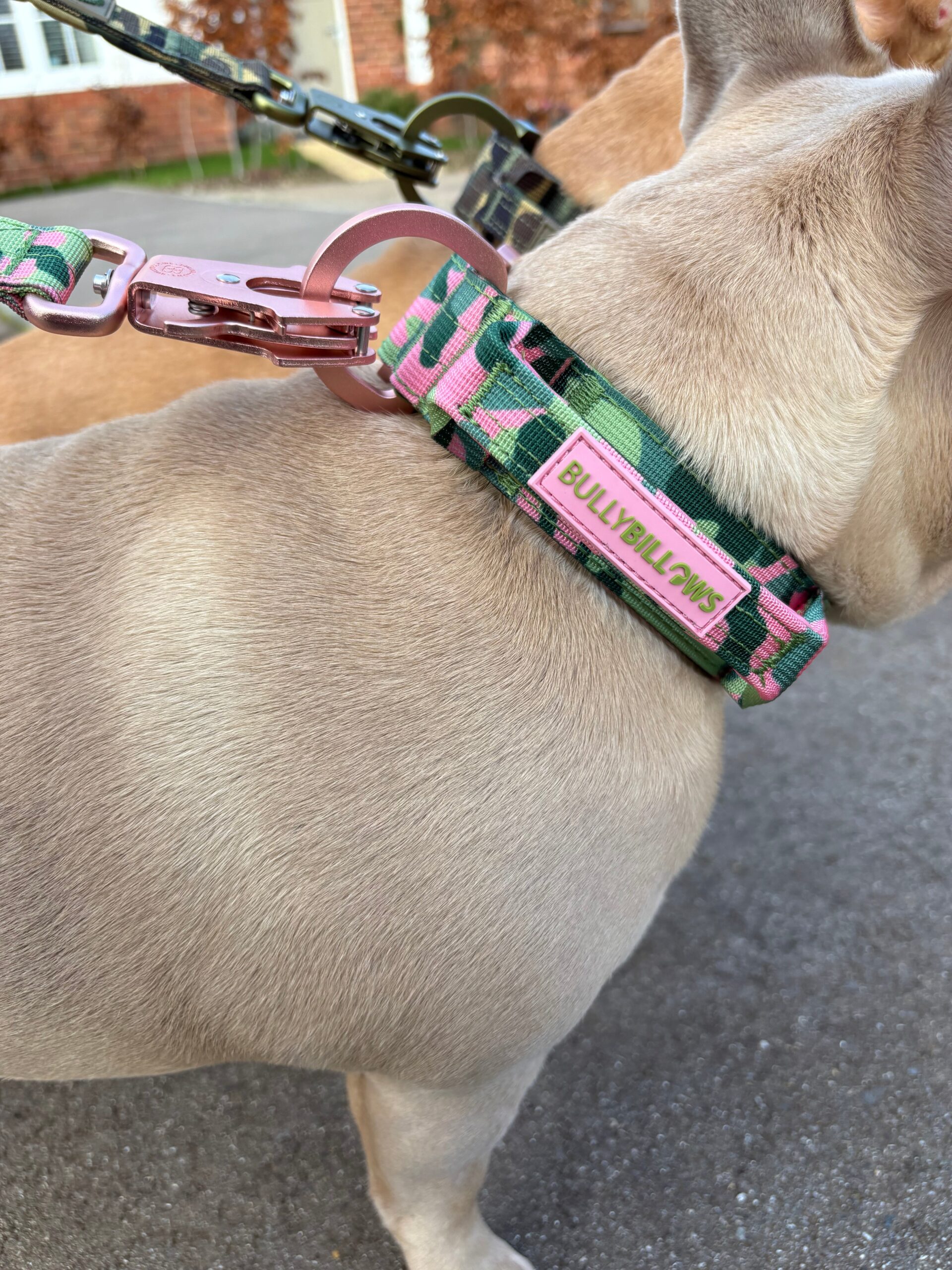 5cm Lighter Combat® Collar | With Handle & Secure Clip - Pink Camouflage - Image 8