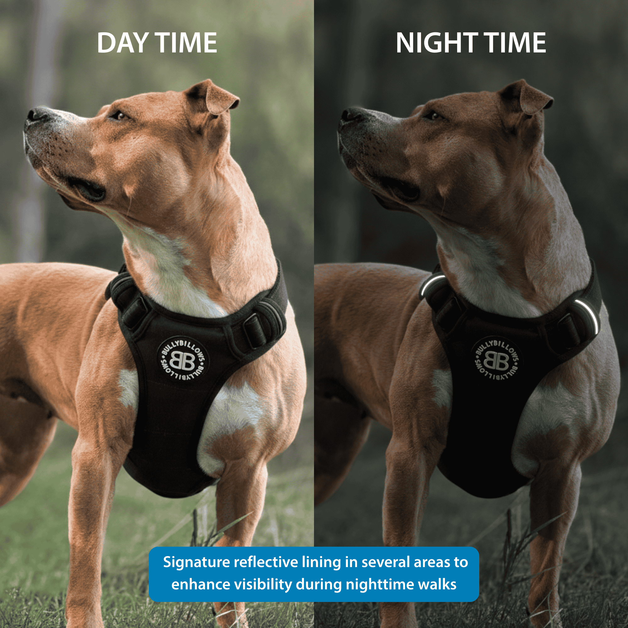 Comfort Premium Harness | Non Restrictive - Metal Grey - Image 4