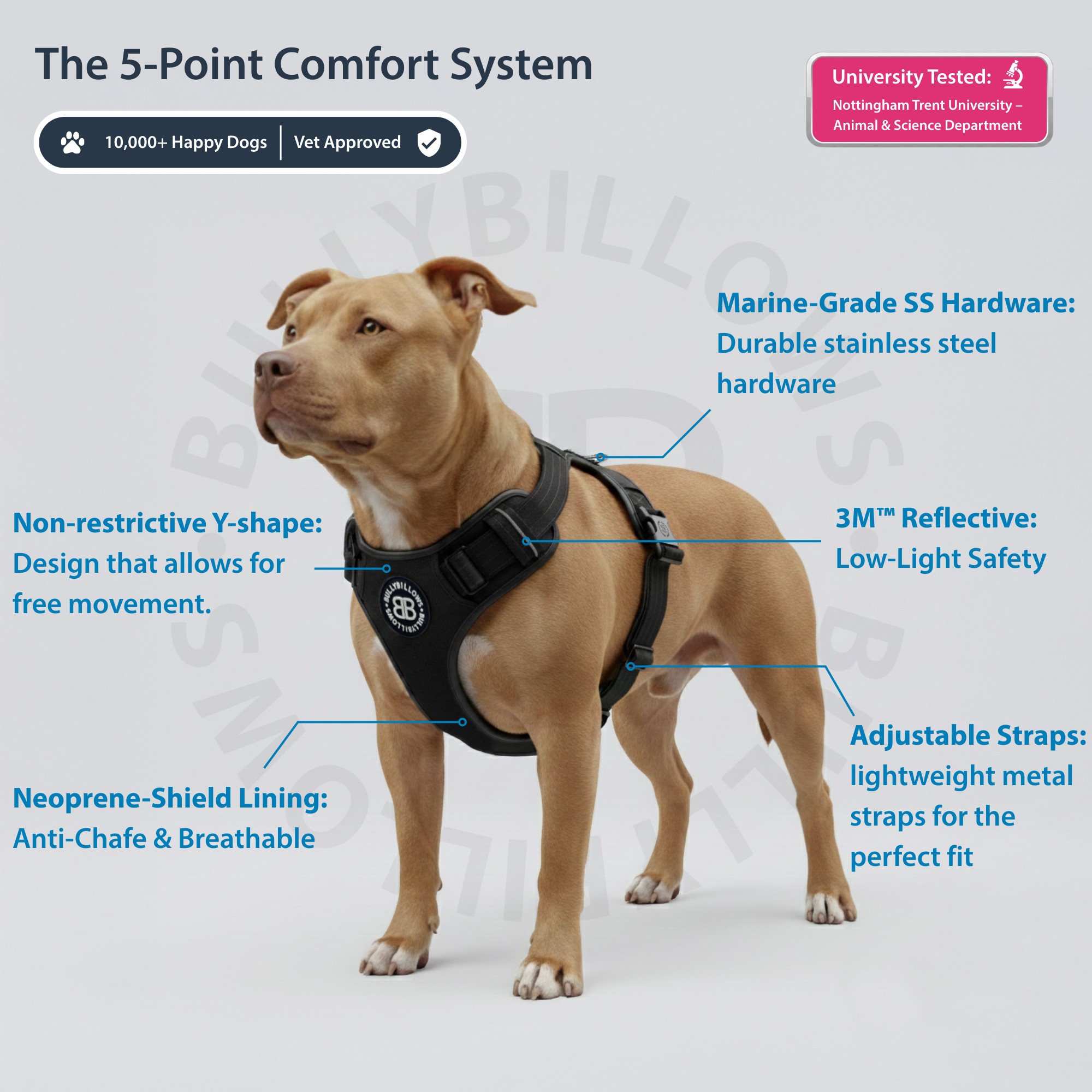 Comfort Premium Harness | Non Restrictive - Khaki - Image 3