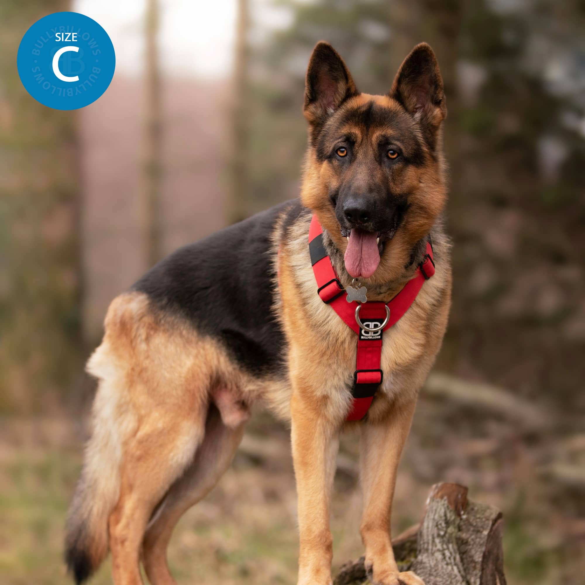 Anti-Pull TRI-Harness® | Training Dog Harness for All Breeds - Red - Image 10