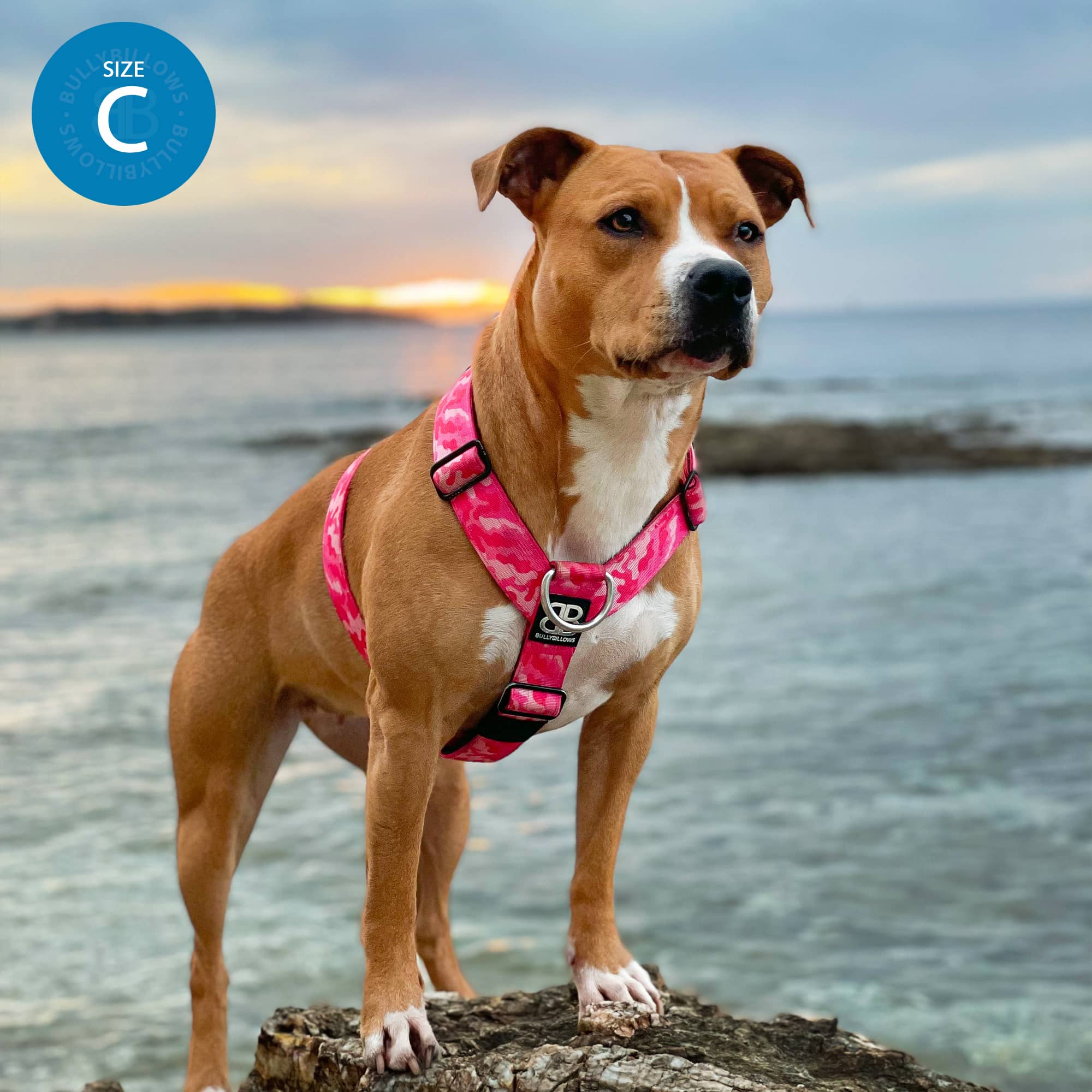 Anti-Pull TRI-Harness® | Training Dog Harness for All Breeds - Red - Image 7