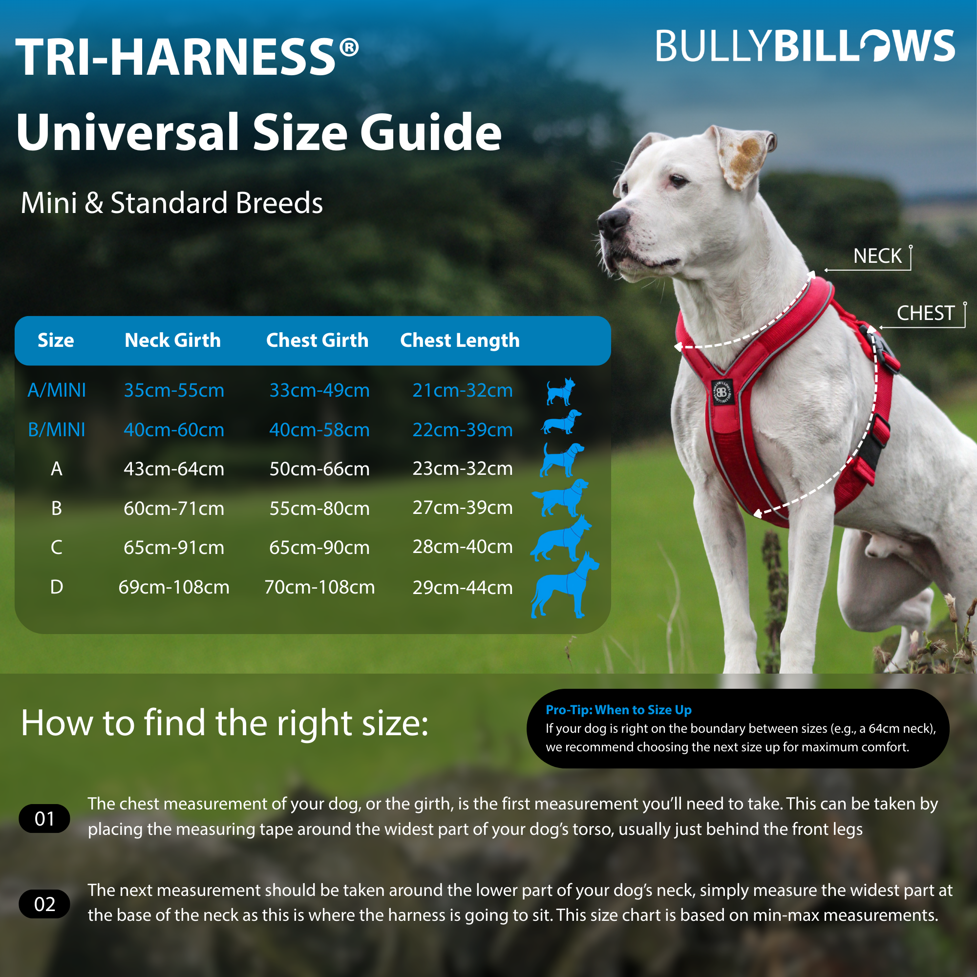 Anti-Pull TRI-Harness® | Training Dog Harness for All Breeds - Khaki - Image 5