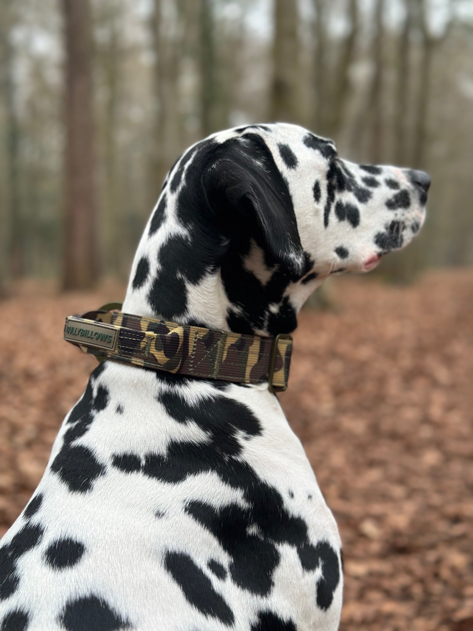 5cm Lighter Combat® Collar | With Handle & Secure Clip - Green Camouflage - Image 8