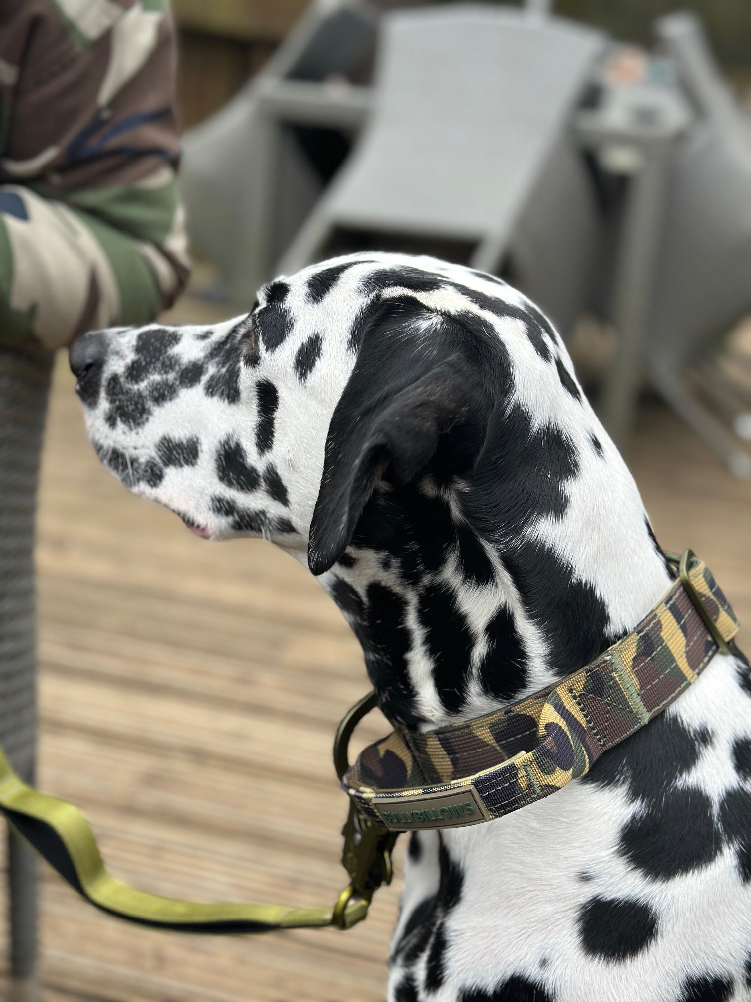 5cm Lighter Combat® Collar | With Handle & Secure Clip - Green Camouflage - Image 6